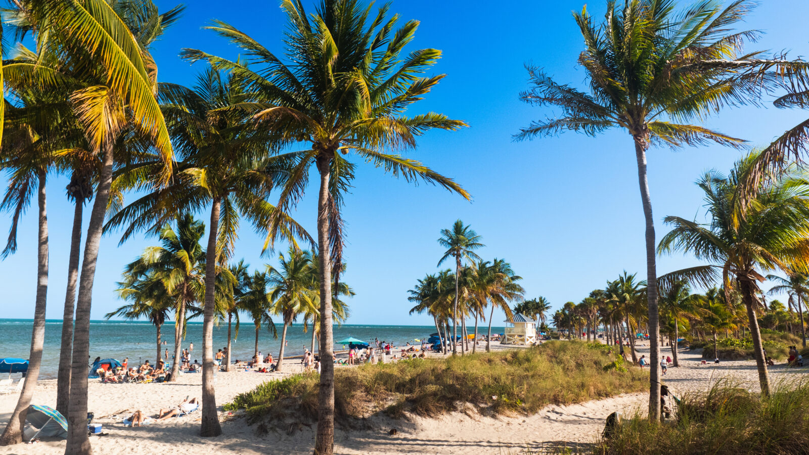 Uitzicht strand Crandon Park Key Biscayne